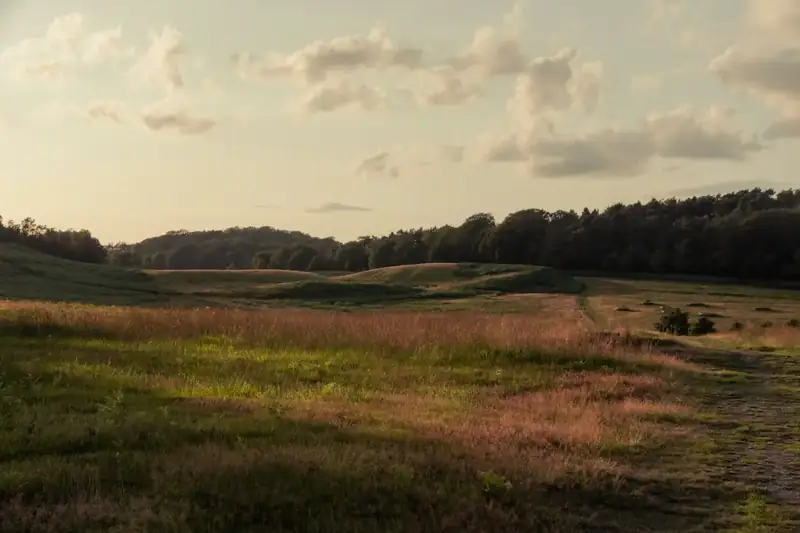 Bradgate Park at dusk, looking across the Leicestershire countryside